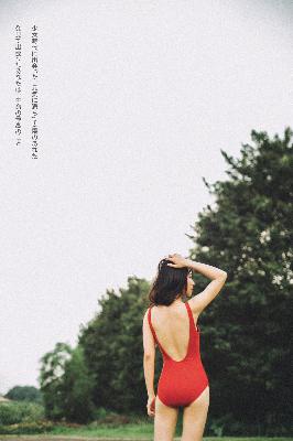 《满宫春》1 - 40集全免费观看？高清资源究竟在哪！